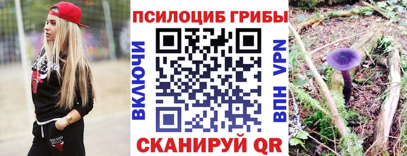 Галлюциногенные грибы Psilocybe  omg маркетплейс  Наволоки 